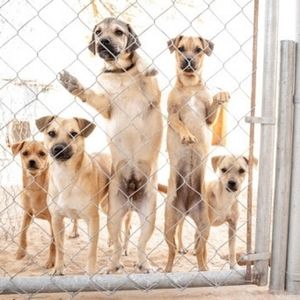 Update!! $22,500 raised!!! Thank you!